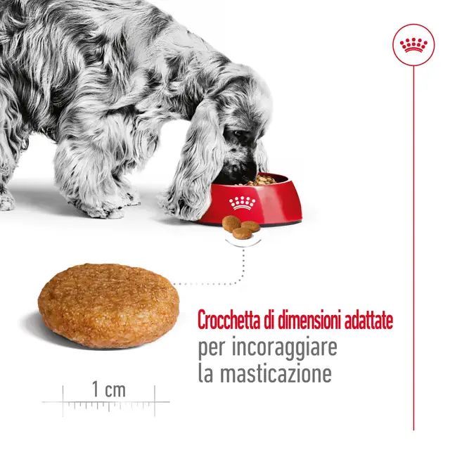 Royal Canin Medium Adult 12 kg