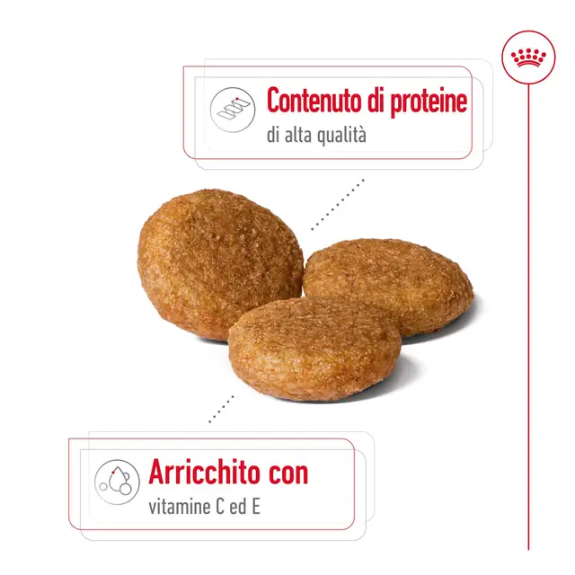 Royal Canin Medium Adult 12 kg