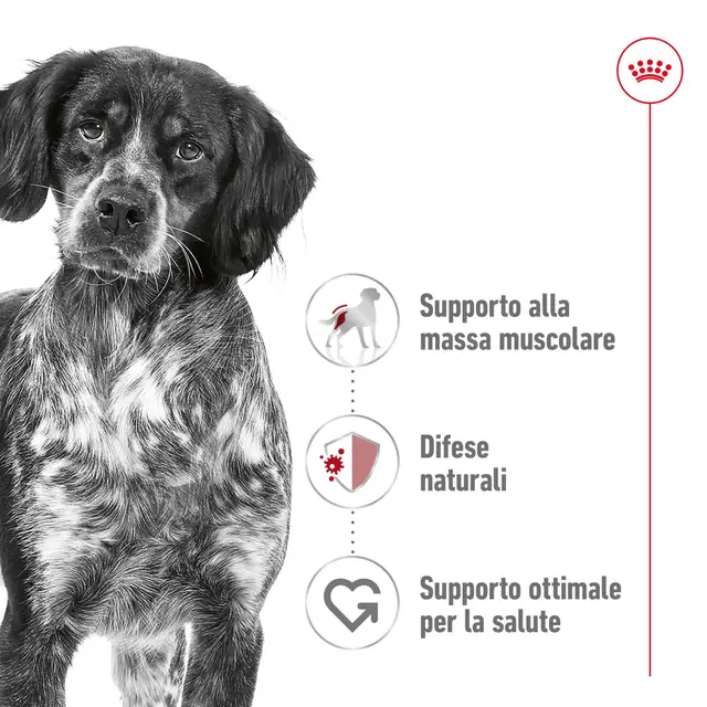 Royal Canin Medium Adult 12 kg