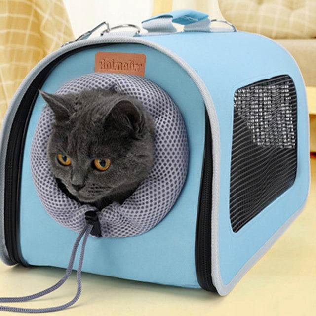 Gatto grigio nel trasportino semirigido Voyage, comodo e sicuro per viaggi e passeggiate.