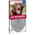 Advantix Spot-On antiparassitario per cani 25-40 kg con 4 pipette per protezione da pulci e zecche