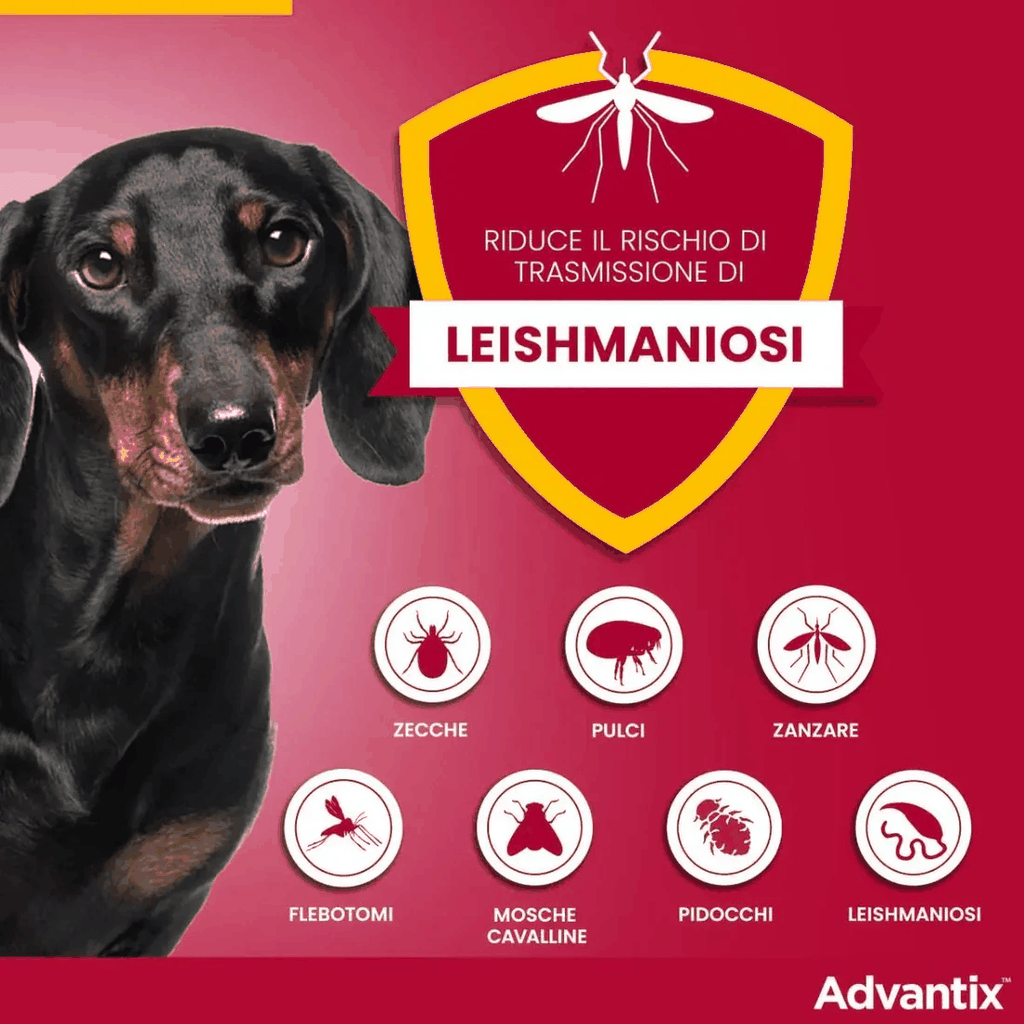 Advantix Spot-On Cani 40-60 kg - 4 pipette antiparassitario per cani sopra i 40 kg.