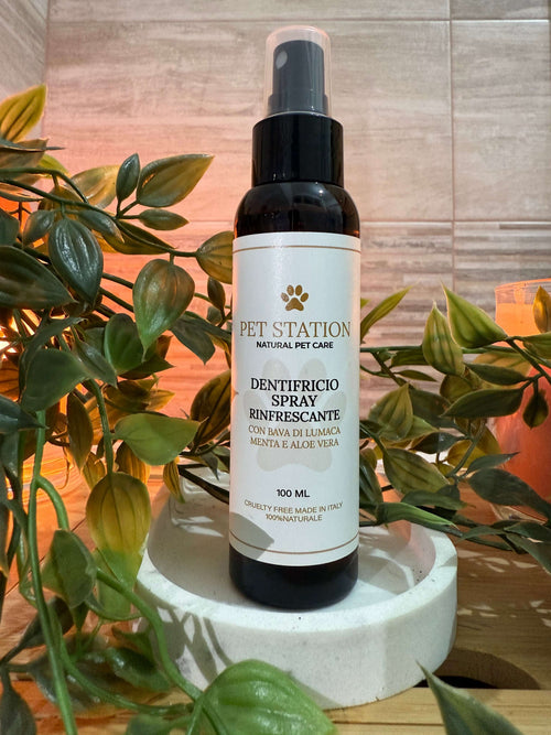 Dentifricio Spray Rinfrescante – Bava di Lumaca, Menta & Aloe Vera – 100 ml in a natural setting with plants.