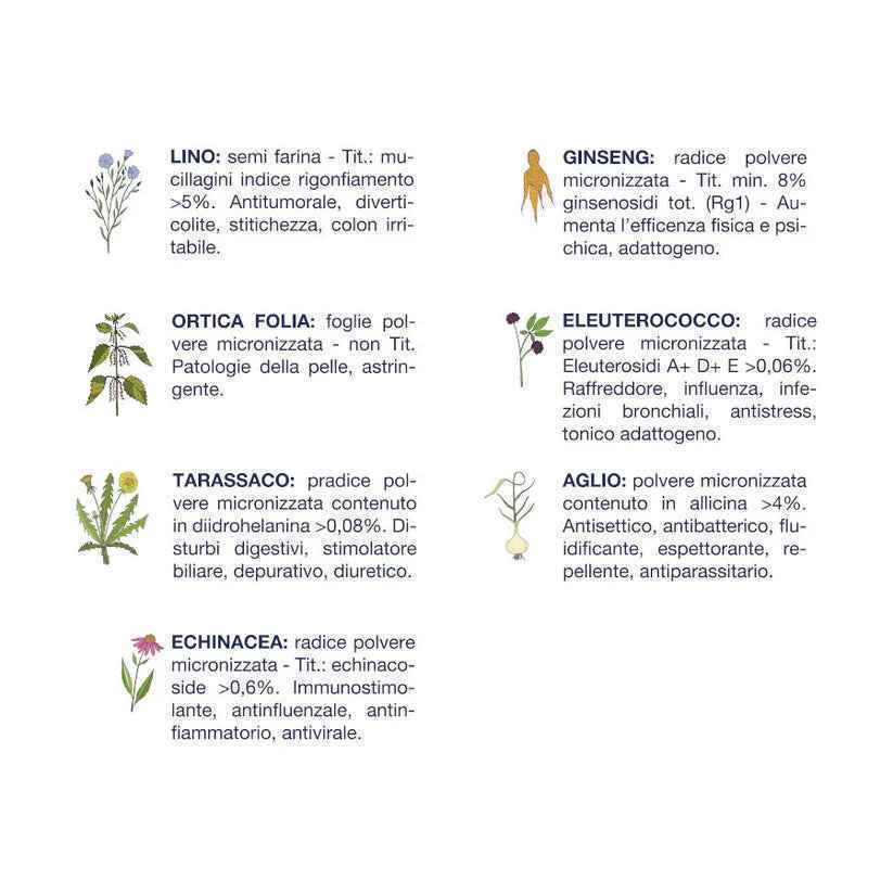 Vet Line Adulti Maiale 38% Monoproteina – Crocchette Naturali per Cani Adulti