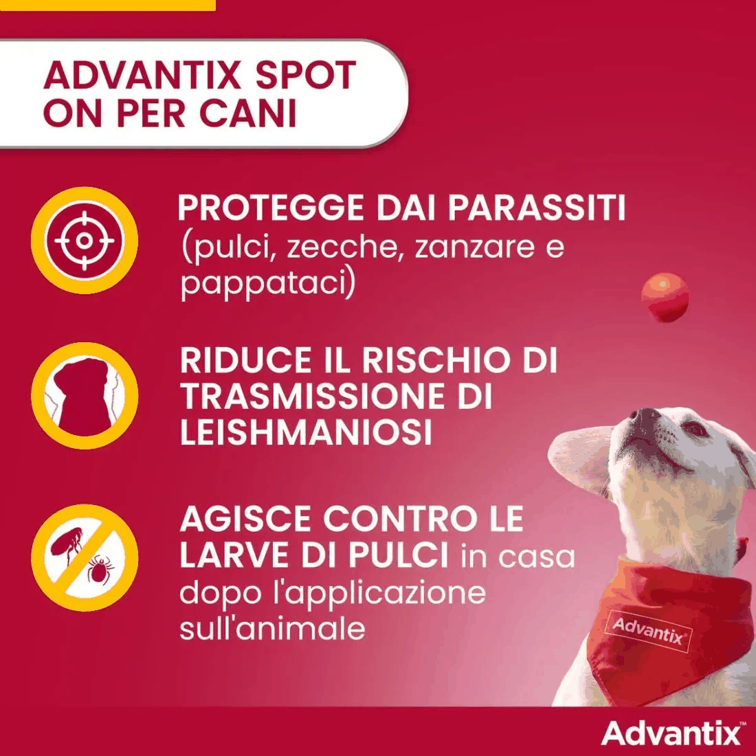 Advantix Spot-On Cani 40-60 kg - 4 pipette antiparassitario per cani sopra i 40 kg.