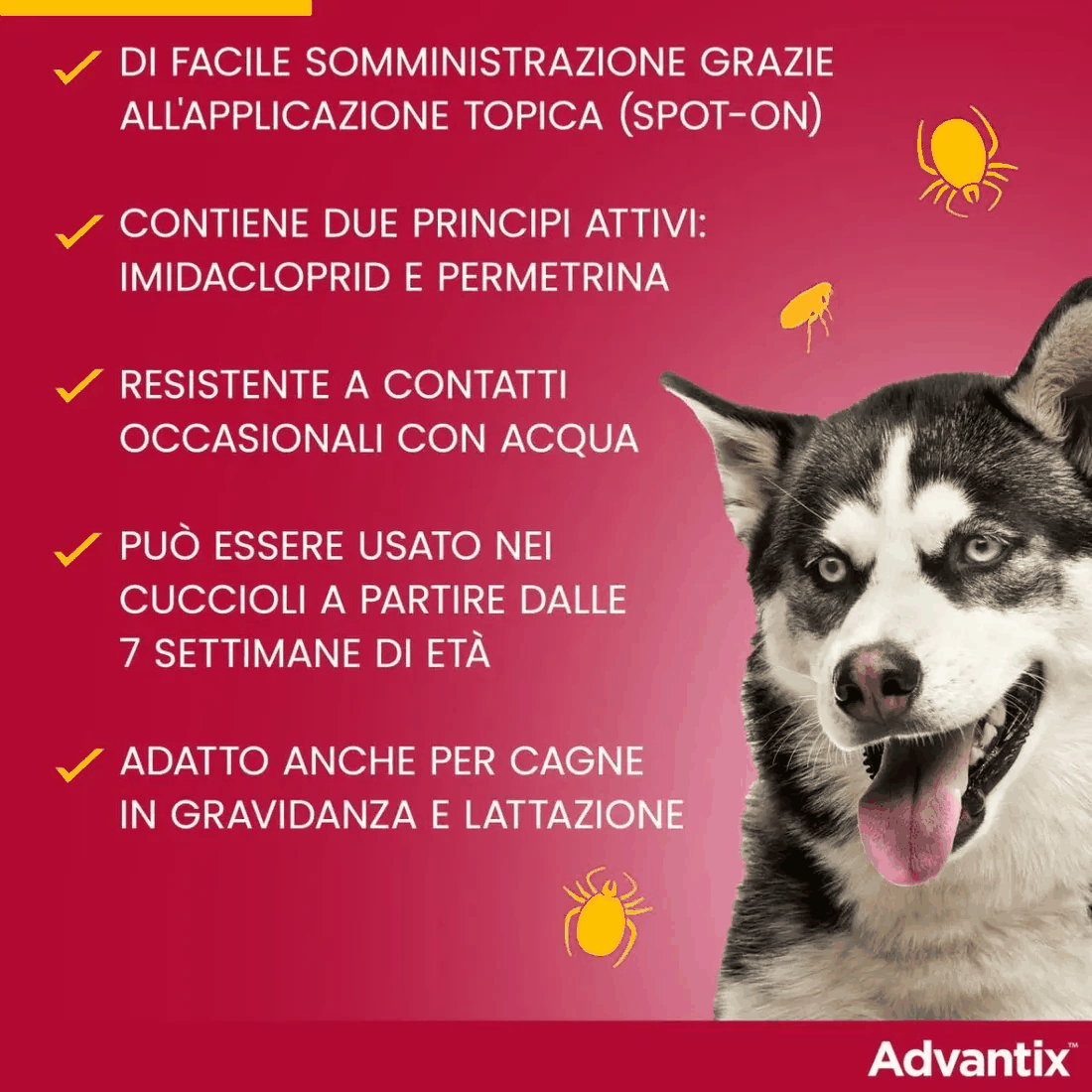 Advantix Spot-On Cani 40-60 kg - 4 pipette antiparassitario per cani sopra i 40 kg.