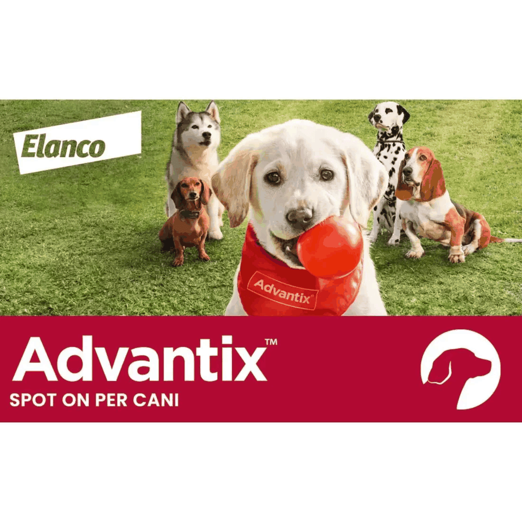 Advantix Spot-On Cani 40-60 kg - 4 pipette antiparassitario per cani sopra i 40 kg.