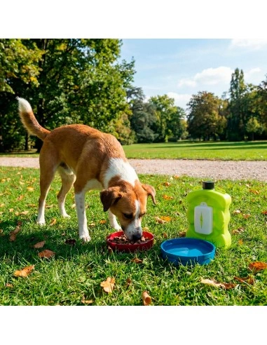 Aquacroc borraccia multifunzione con ciotole integrate e portasacchetti per cani e gatti durante le passeggiate