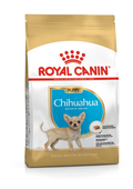 Royal Canin Chihuahua Puppy cibo umido veterinario per cuccioli fino a 8 mesi con formula digestiva e supporto immunitario