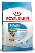 Royal Canin Mini Starter – 1 kg cibo umido veterinario per cani gastrointestinali
