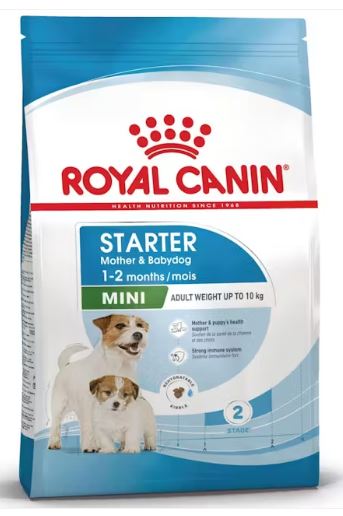 Royal Canin Mini Starter – 1 kg cibo umido veterinario per cani gastrointestinali