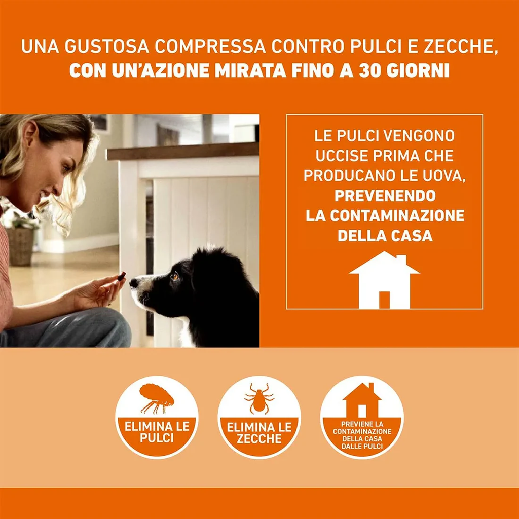 Frontpro 11 mg Compresse Masticabili per Cani 2-4 kg