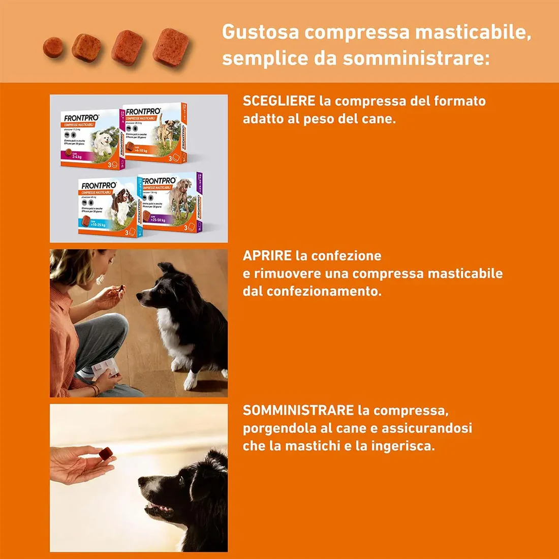 Frontpro 11 mg Compresse Masticabili per Cani 2-4 kg