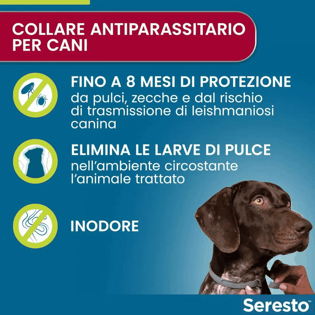 Seresto Collare Antiparassitario per Cani