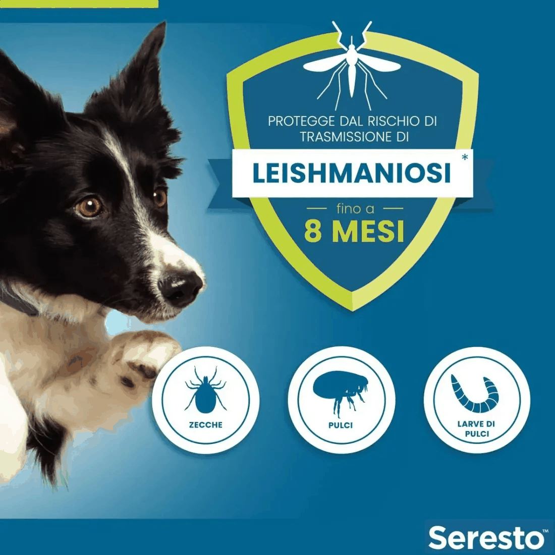 Seresto Collare Antiparassitario per Cani