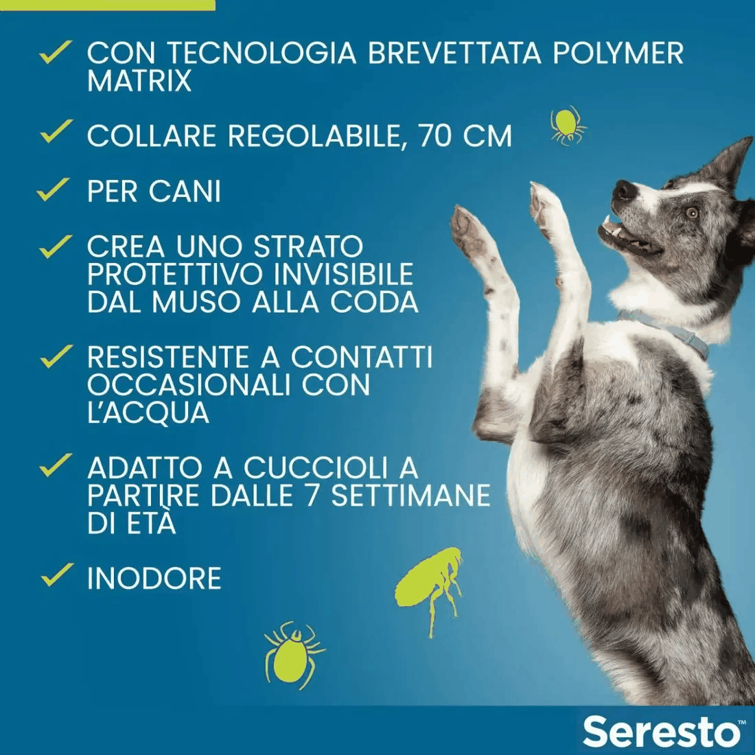 Seresto Collare Antiparassitario per Cani