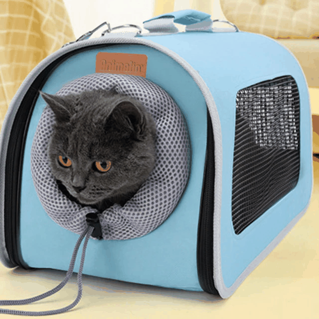 Borsa Trasportino Semirigida Voyage turchese per piccoli animali con rete traspirante e tracolla regolabile
