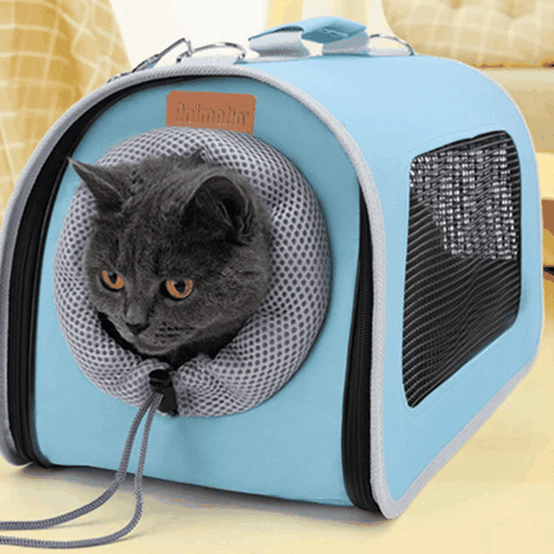 Borsa Trasportino Semirigida Voyage turchese per piccoli animali con rete traspirante e tracolla regolabile